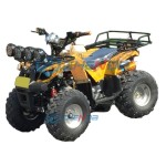 ATV Bike Manufacturer - 125CC All-Terrain Shock Resistant Model