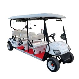 Golf Cart Factory - Customized Fashion Scenic Hotel Reception