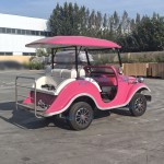 Antique Car Manufacturer - Electric Four-wheel 11 Seat Retro Scenic