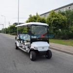 Golf Cart Manufacturer - Latest Customized Mini 2 Seater Hotel Scooter