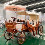 Wedding Carriage Manufacturer - Luxury Double Row Wood Grain Buggy
