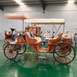 Wedding Carriage Manufacturer - Luxury Double Row Wood Grain Buggy