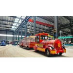 Electric Train Factory - Amusement Facilities Custom-shaped Energy Saving
