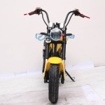 Electric Scooter Factory - Battery-type 2000W Adult Mini Motorcycles