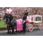 Horse Hearse Factory - 2023 Unique Custom Modern Funeral Supplies