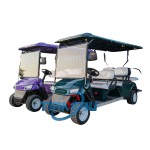 Electric Golf Cart Manufacturer - 2 4 6 Seater 72V Lithium Custom
