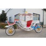 Pumpkin Carriage Factory - New Design Reliable Carriage