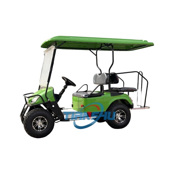 Electric Golf Cart Manufacturer - 4 Seat Off Road Pedal Powered