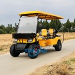 Electric Golf Cart Manufacturer - 8 Passenger 6+2 Seater Buggy
