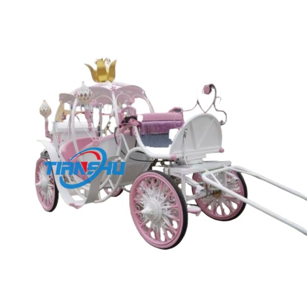 Pumpkin Carriage Factory - 6 Seats Electric Horseless Carriage