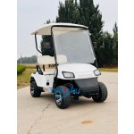 Electric Golf Cart Manufacturer - 60V 3.5kw New Rim Cushion