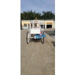 Wedding Carriage Manufacturer - Graceful Princess Horse Carriage