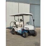 Golf Cart Factory - Small 2 Seater Electric Vehicle