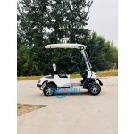 Golf Cart Factory - Street Legal Mini Buggy Car for Sale