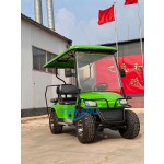 Electric Golf Cart Manufacturer - 60V 3.5kw New Rim Cushion
