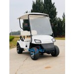 Golf Cart Factory - Street Legal Mini Buggy Car for Sale