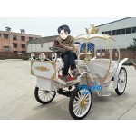 Pumpkin Carriage Factory - High Quality Royal Cinderella Carriage