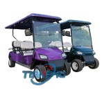 Electric Golf Cart Manufacturer - 2 4 6 Seater 72V Lithium Custom
