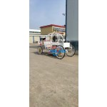 Horse Carriage Factory - Wholesale Electric Princess Carriage