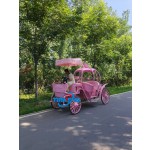 Horse Carriage Manufacturer - Personalized Classic Pumpkin Carriage