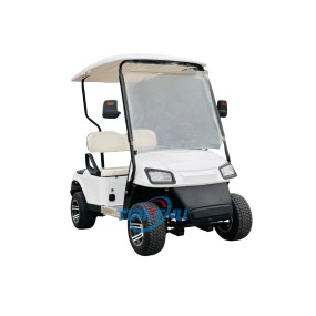 Golf Cart Factory - Street Legal Mini Buggy Car for Sale