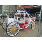 Pumpkin Carriage Factory - New Design Reliable Carriage