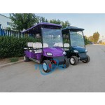 Golf Cart Factory - Small 2 Seater Electric Vehicle