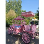 Horse Carriage Manufacturer - Personalized Classic Pumpkin Carriage