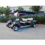 Golf Cart Factory - Small 2 Seater Electric Vehicle
