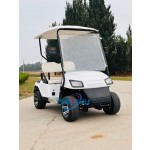 Electric Golf Cart Manufacturer - 60V 3.5kw New Rim Cushion