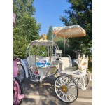 Pumpkin Carriage Factory - Pink Cinderella Party Decoration