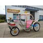 Horse Carriage Manufacturer - Personalized Classic Pumpkin Carriage