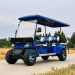 Electric Golf Cart Manufacturer - 4x4 Sightseeing Transport Vehicle