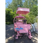 Wedding Carriage Manufacturer - Custom Color Electric Pumpkin Carriage
