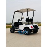 Golf Cart Factory - Street Legal Mini Buggy Car for Sale