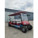 Electric Golf Cart Manufacturer - 8 Passenger 6+2 Seater Buggy