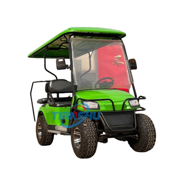 Electric Golf Cart Manufacturer - 4x4 Sightseeing Transport Vehicle