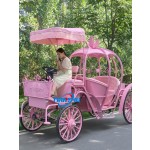 Horse Carriage Manufacturer - Personalized Classic Pumpkin Carriage