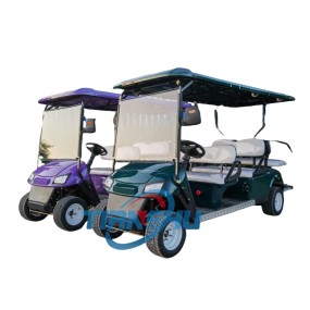 Golf Cart Factory - Small 2 Seater Electric Vehicle