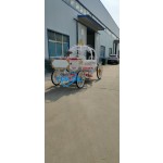 Wedding Carriage Manufacturer - Graceful Princess Horse Carriage
