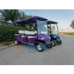Electric Golf Cart Manufacturer - 2 4 6 Seater 72V Lithium Custom