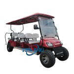 Electric Golf Cart Manufacturer - 8 Passenger 6+2 Seater Buggy