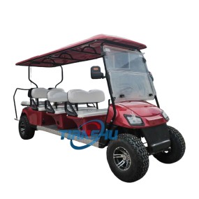 Electric Golf Cart Manufacturer - 8 Passenger 6+2 Seater Buggy