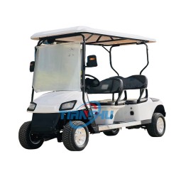 Electric Golf Cart Manufacturer - 60V 3.5kw New Rim Cushion