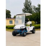 Electric Golf Cart Manufacturer - 4x4 Sightseeing Transport Vehicle