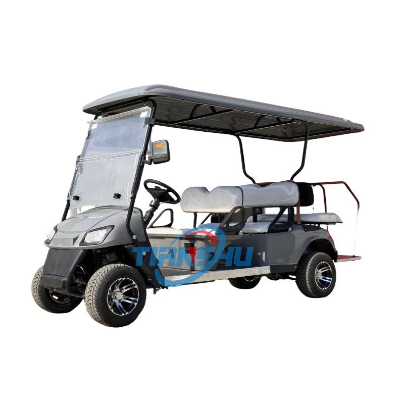 Electric Golf Cart Manufacturer - 48V 60V 72V 4+2 Seater Mini