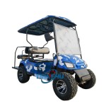 Electric Golf Cart Manufacturer - Long Battery Life Automatic Brake