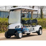 Electric Golf Cart Manufacturer - 60V 3.5kw New Rim Cushion