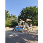 Pumpkin Carriage Factory - Mobile Electric Wedding Wagon
