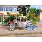 Pumpkin Carriage Factory - Horse Drawn Royal Princess Carriage